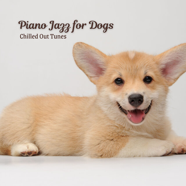 Piano Jazz for Dogs: Chilled Out Tunes