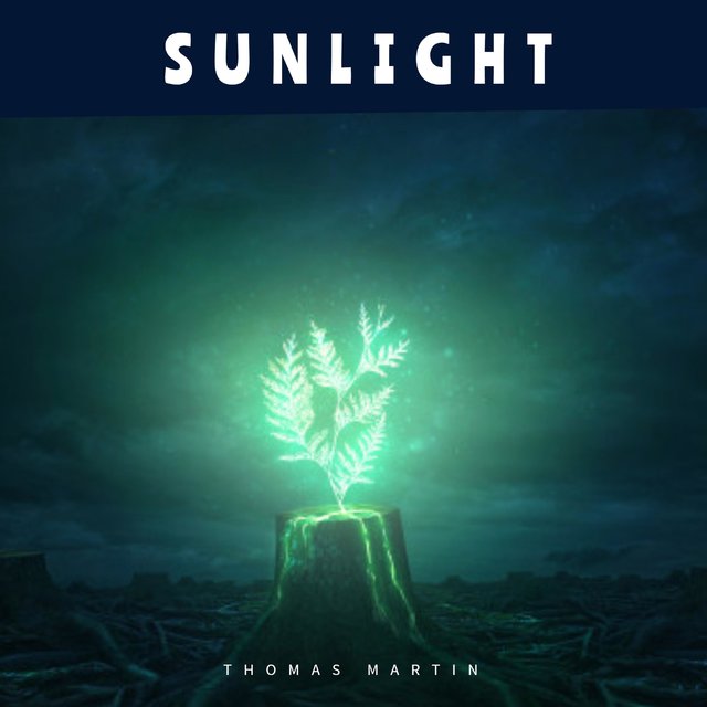 Sunlight