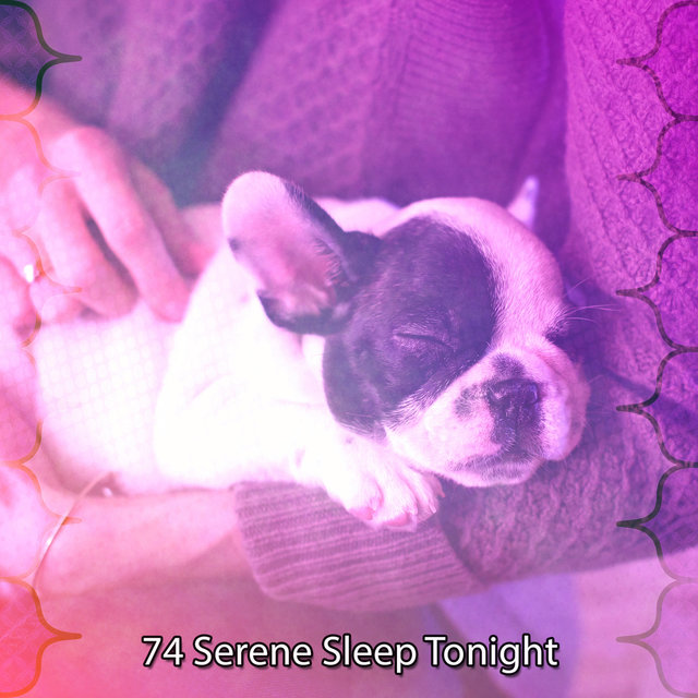 74 Serene Sleep Tonight