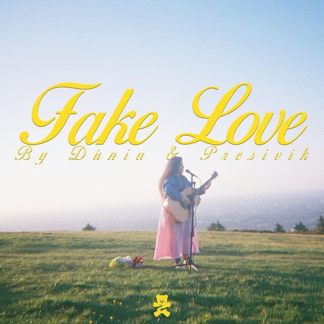 Fake Love