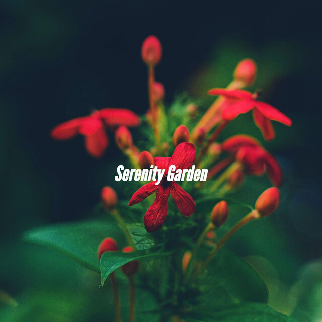 Serenity Garden