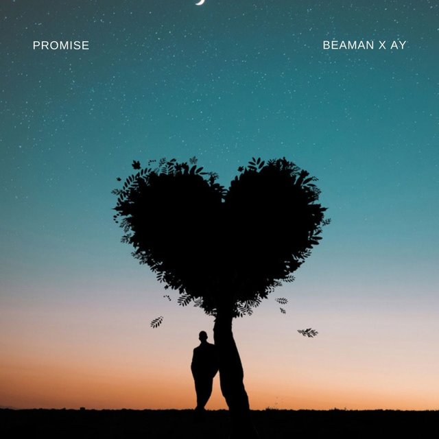 Promise