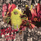 Cover art for album Warble Womb by Dead Meadow