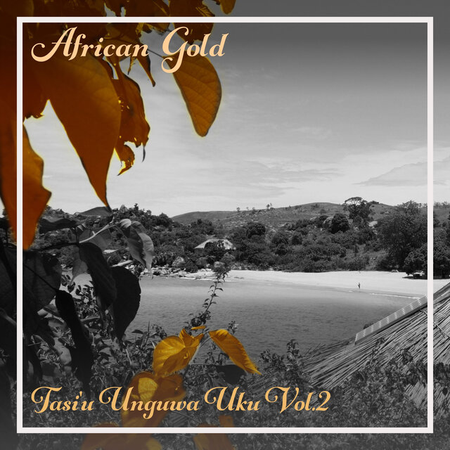 African Gold - Tasi'u Unguwa Uku Vol. 2