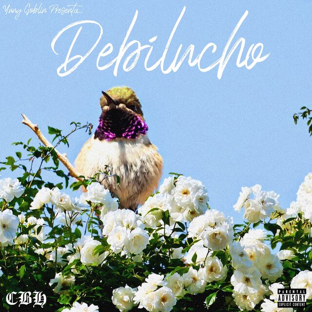Debilucho