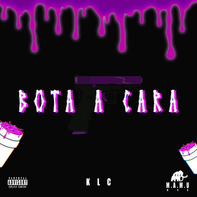 Bota a Cara