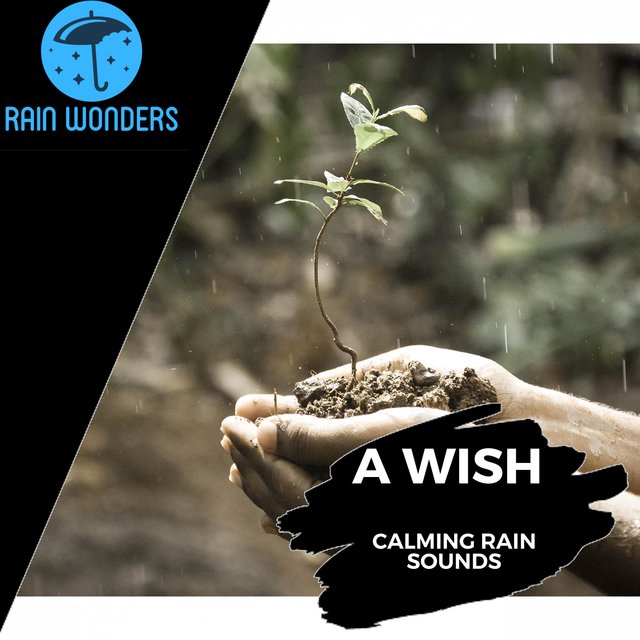 A Wish - Calming Rain Sounds