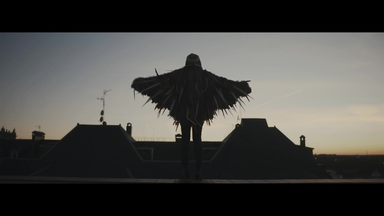 Plumas