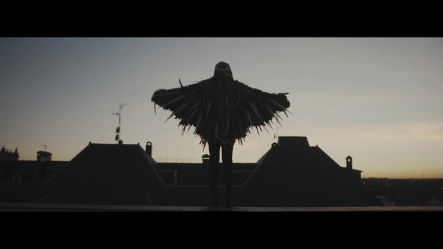 Plumas