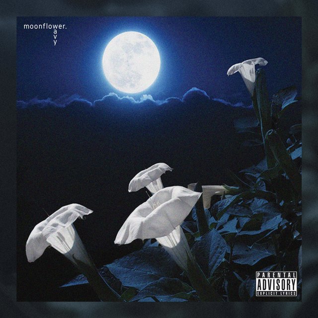 Moonflower