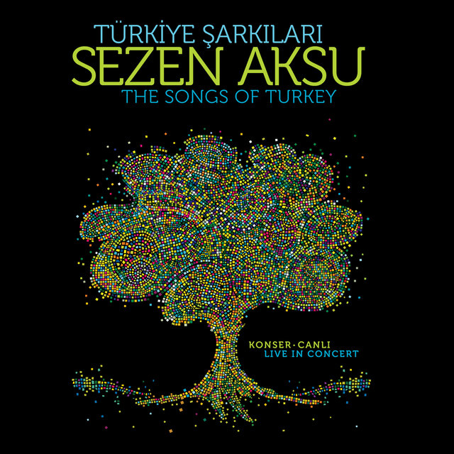 Türkiye Şarkilari (Canli)
