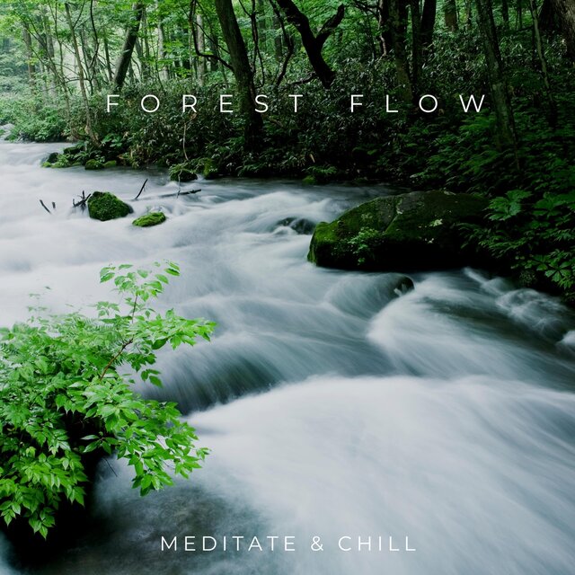 Forest Flow
