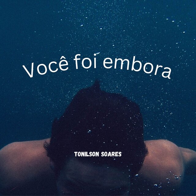 Você foi embora 