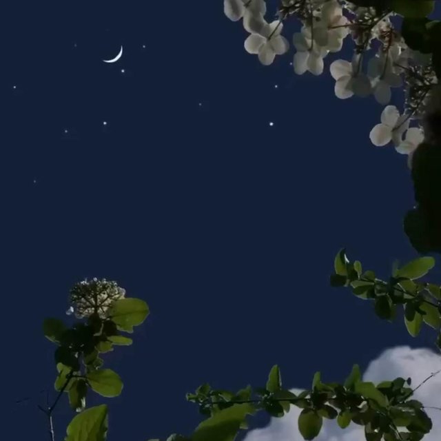 You Couldn't Save Me, But You Can't Let Me Go (Sped Up) - NDA
