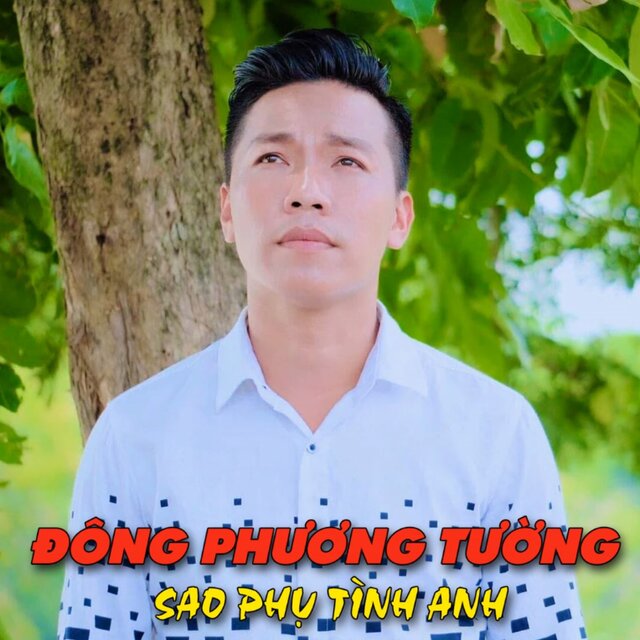 Sao Phụ Tình Anh
