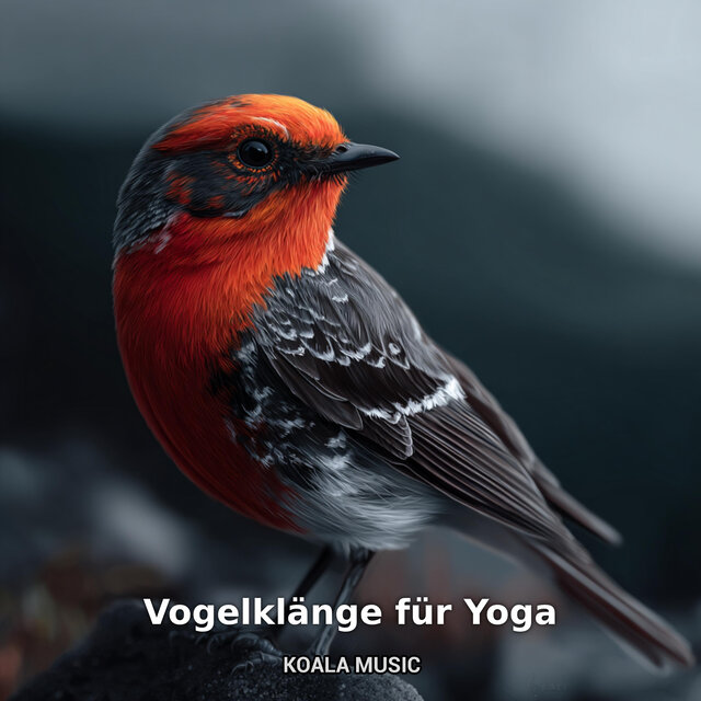 Vogelklänge für Yoga