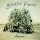 Cover art for album Lapsed by Bardo Pond