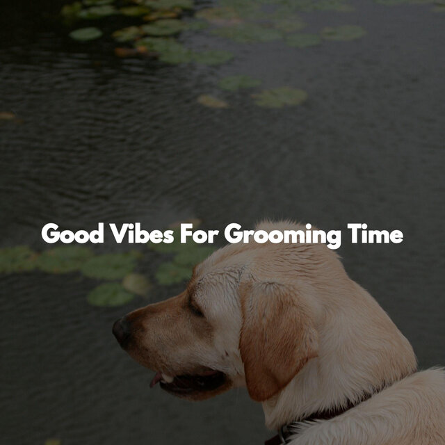 Good Vibes For Grooming Time