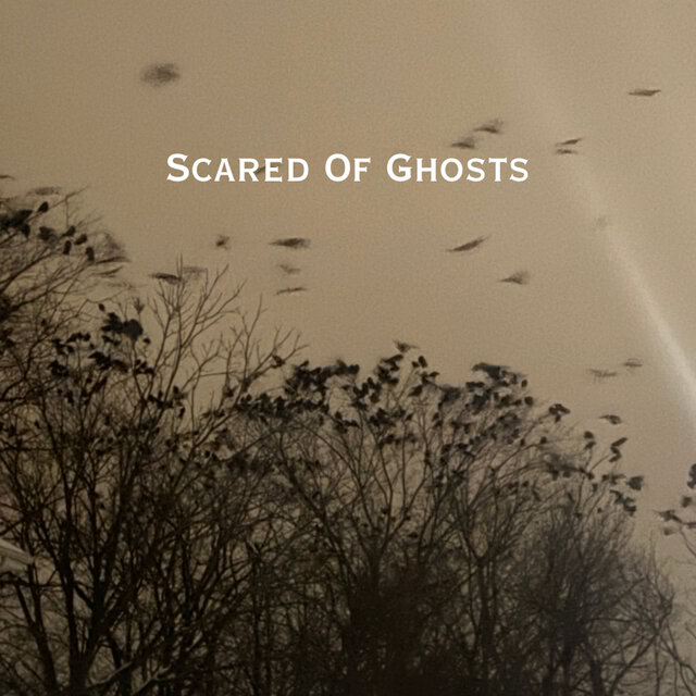 Scared Of Ghosts
