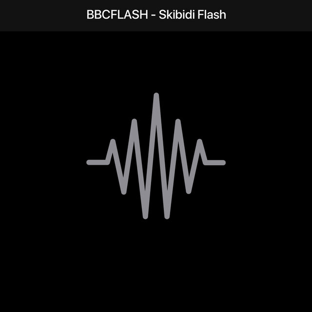 Skibidi Flash