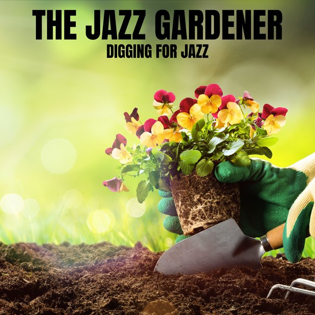 Digging for Jazz