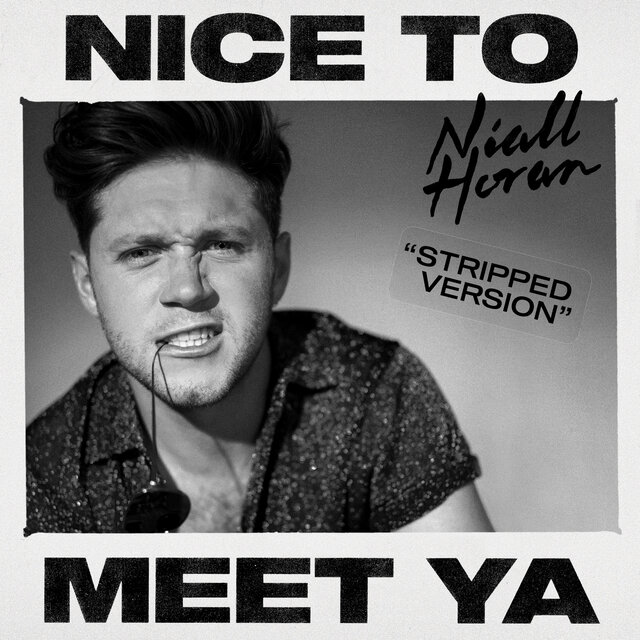 Nice To Meet Ya (Stripped)
