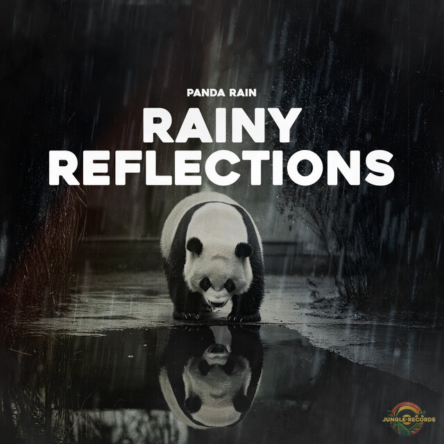 Rainy Reflections