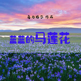 這裡