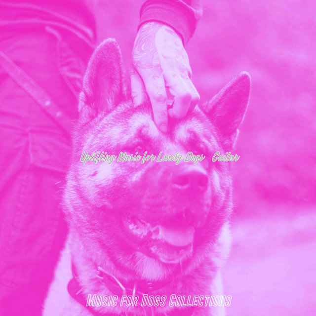Uplifting Music for Lonely Dogs - Guitar