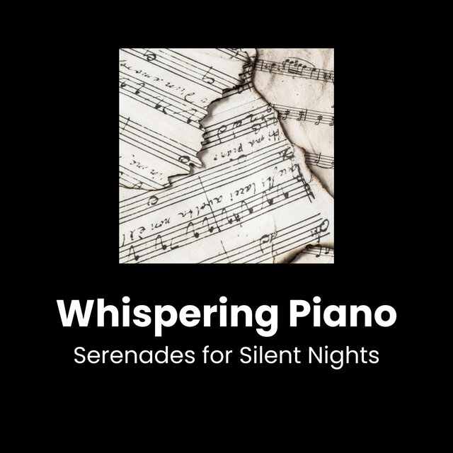 Piano Nocturnes: Soothe Your Soul