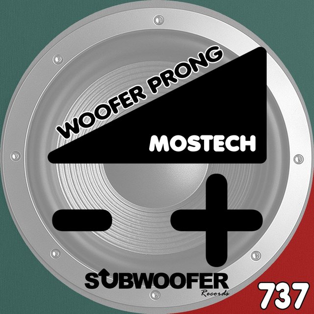 Woofer Prong