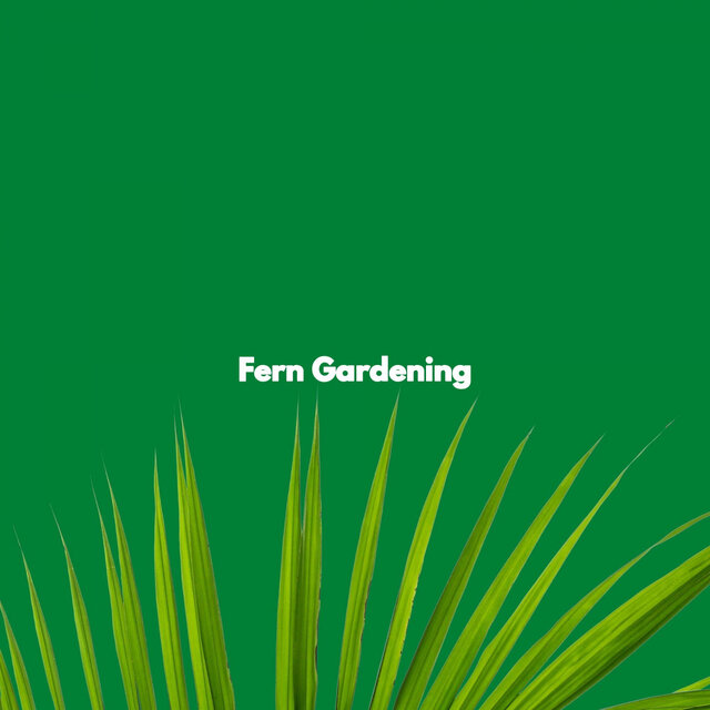Fern Gardening