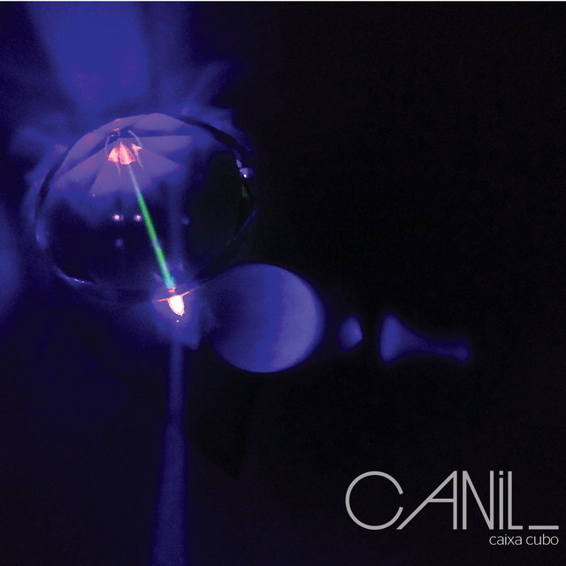 Canil_
