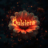 Quisiera