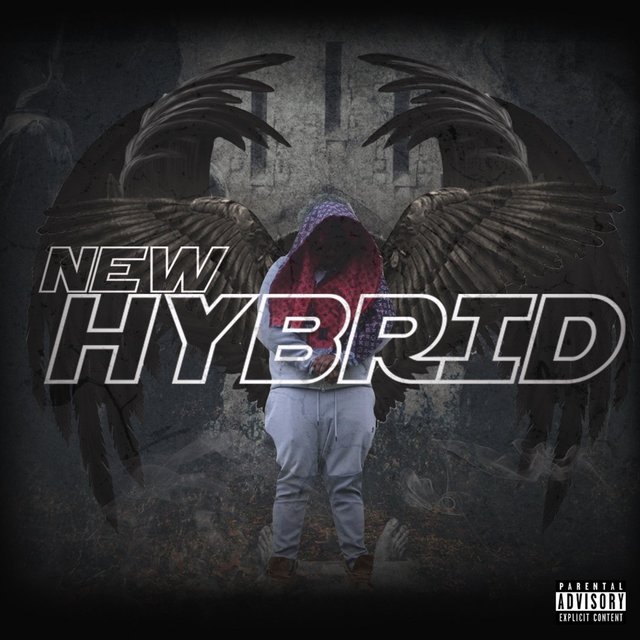 New Hybrid