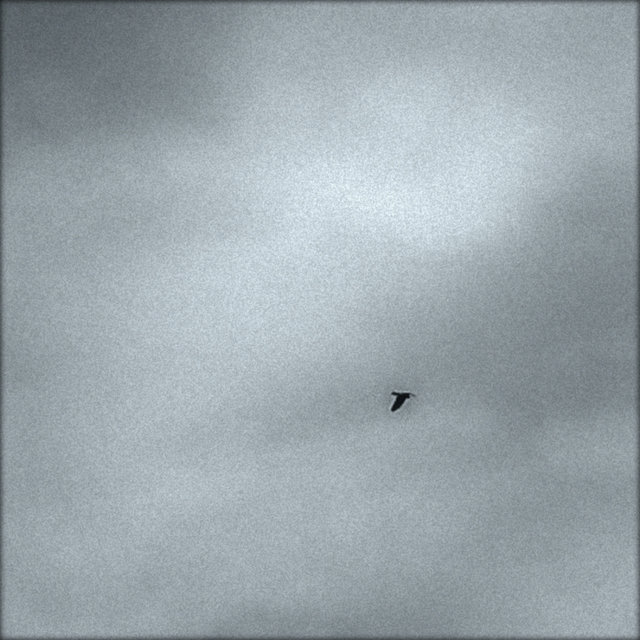 The Silent Watcher