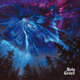 Cover art for album Holy Grove by Holy Grove