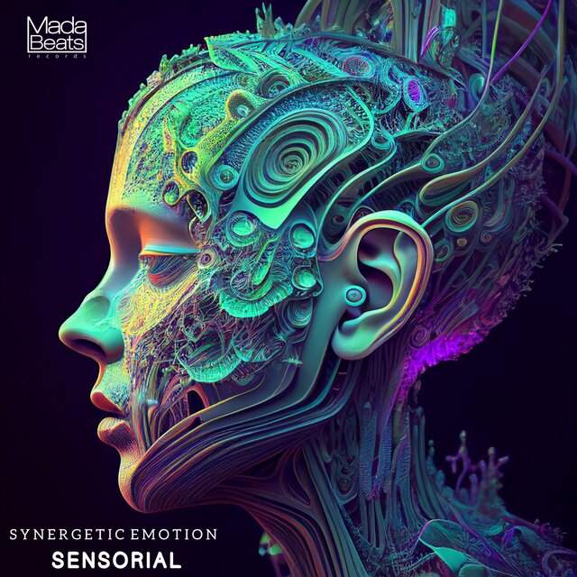Synergetic Resource Synergetic Emotion on TIDAL