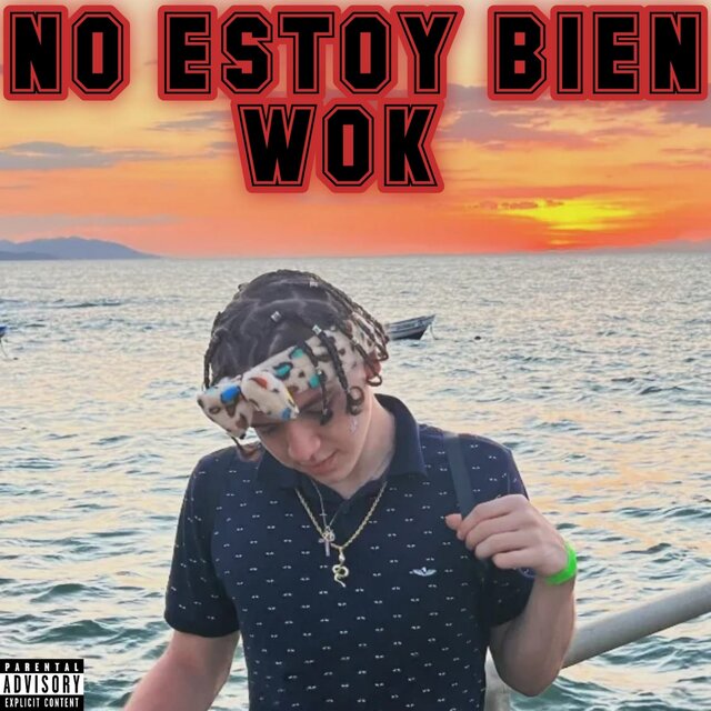 NO ESTOY BIEN WOK by Wok Wifilifi on TIDAL