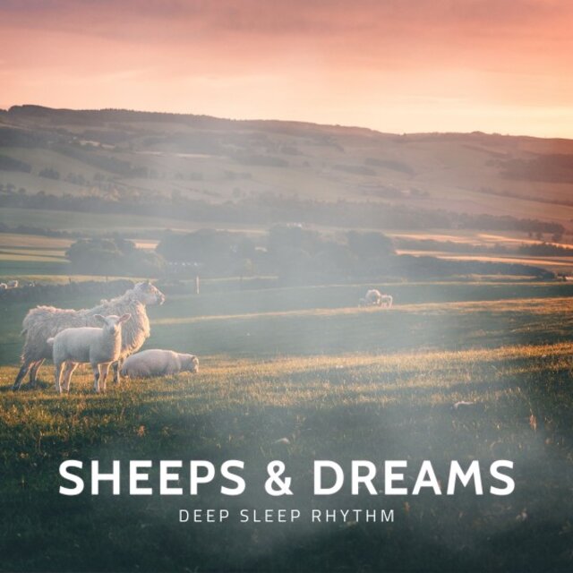 Sheeps & Dreams: Music to Help You Sleep