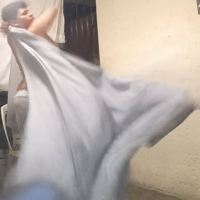 Apilef