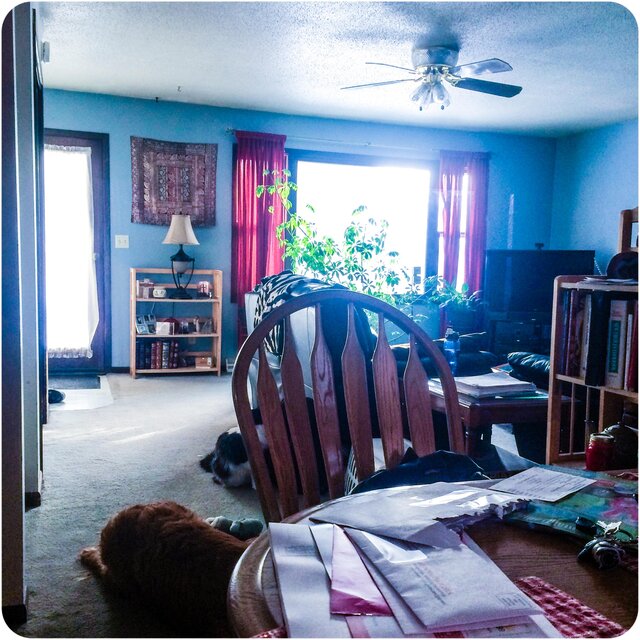 Daylight