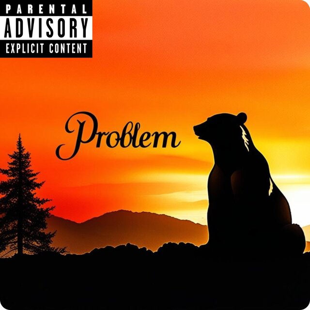 Problem