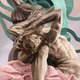 Cover art for album Odyssey by Murlo