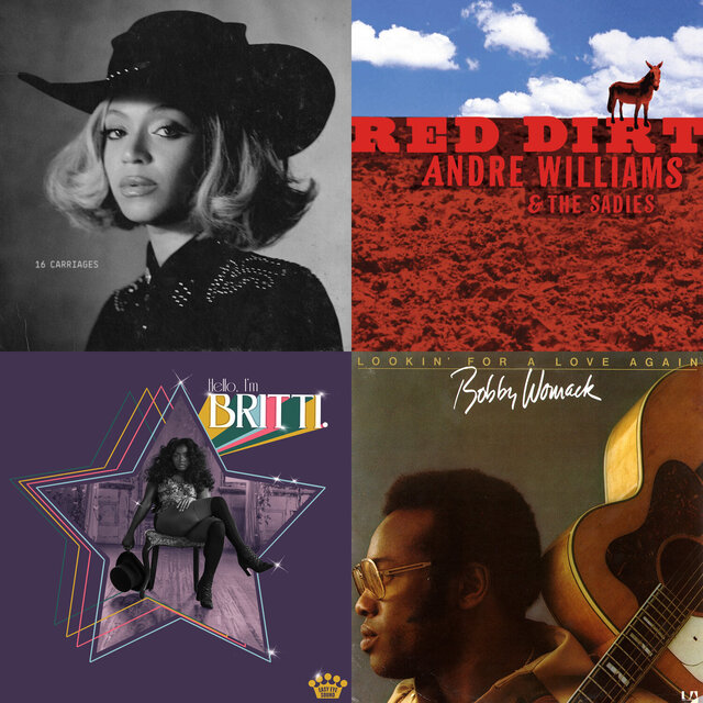 Cover art for album African American Country Chops by User