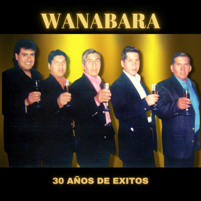 30 Años de Exitos