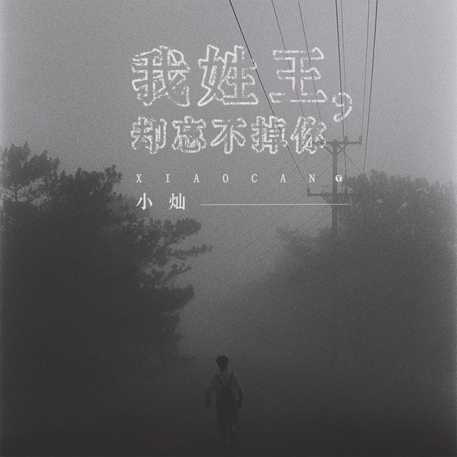 我姓王，却忘不掉你