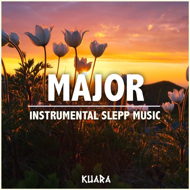 Major: Instrumental Sleep Music