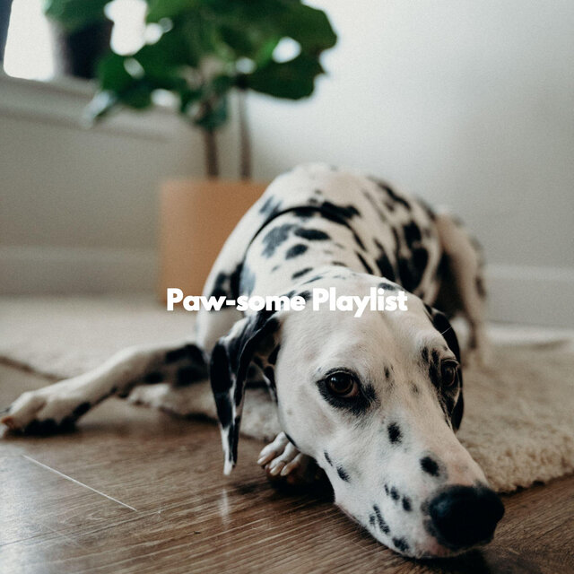 Paw-some Playlist
