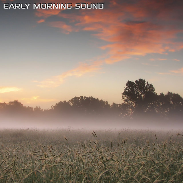 Early Morning Sound (feat. White Noise of the Wind, White Noise Sleep Sounds, White Noise Soundscapes & Discovery Nature Sound)